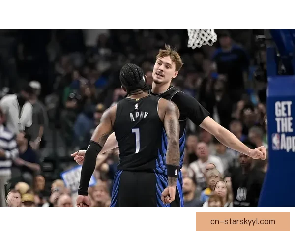 弗拉格复出独行侠送尼克斯连败