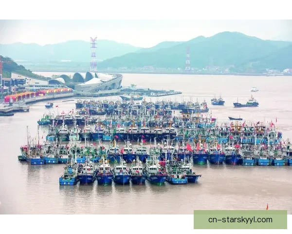 海港未来或迎人员新变动风向起